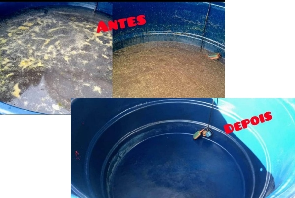 Limpeza de caixa d'agua